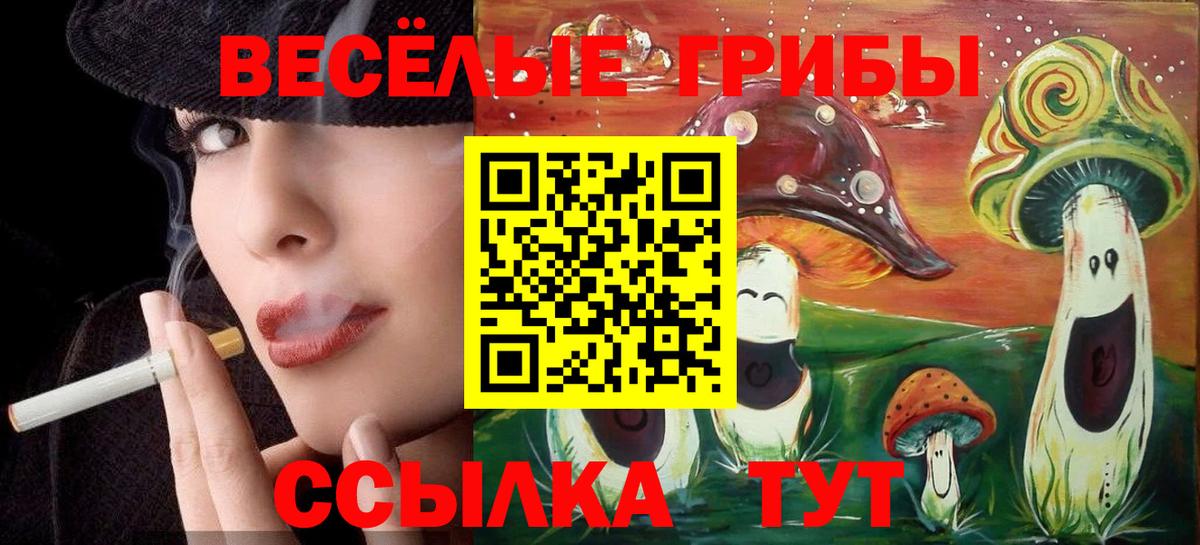 Биробиджан  Галлюциногенные грибы Magic Shrooms  Вход с VPN 
